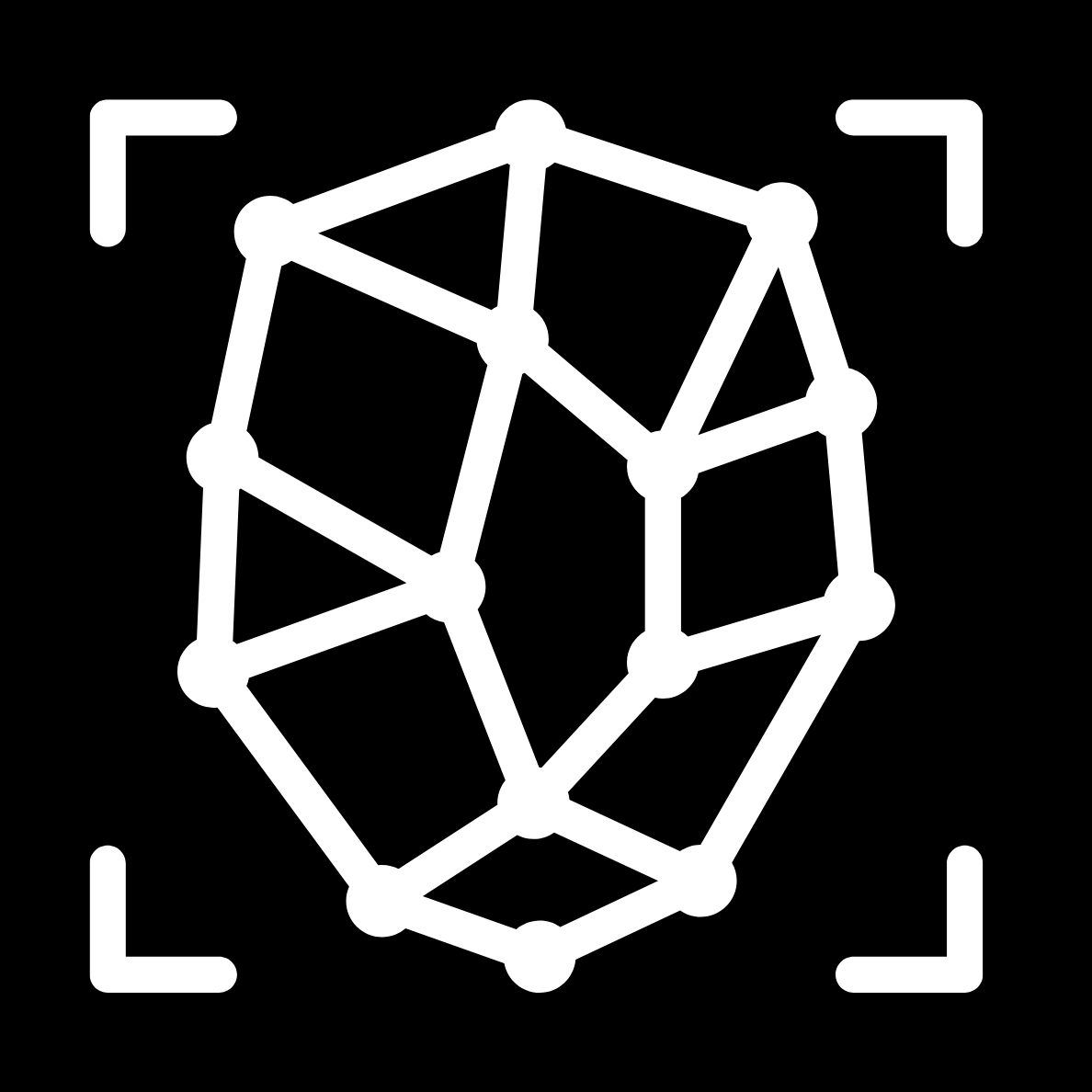 FaceNova logo